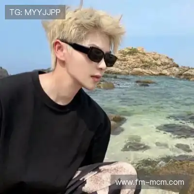 何鹰辉